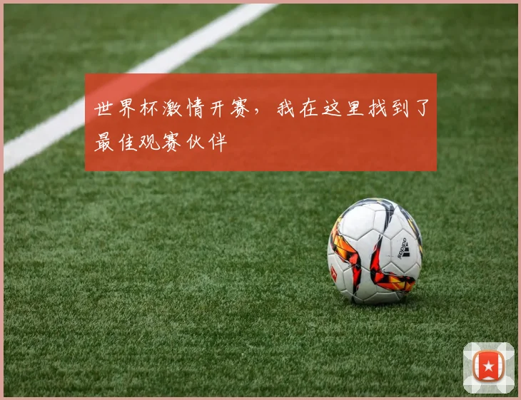 世界杯激情开赛,我在这里找到了最佳观赛伙伴