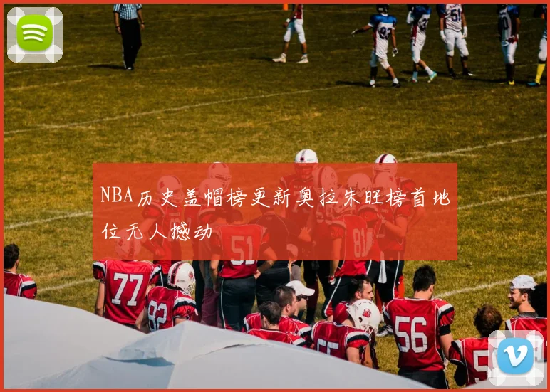 NBA历史盖帽榜更新奥拉朱旺榜首地位无人撼动