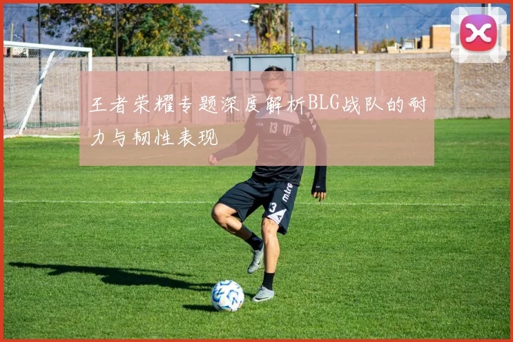 王者荣耀专题深度解析BLG战队的耐力与韧性表现