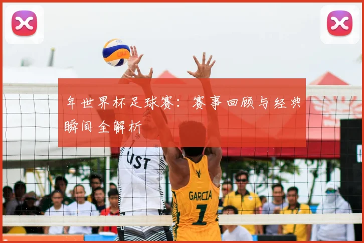 年世界杯足球赛：赛事回顾与经典瞬间全解析