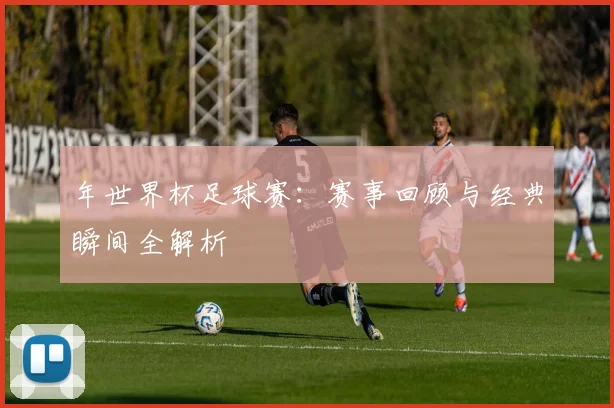 年世界杯足球赛：赛事回顾与经典瞬间全解析