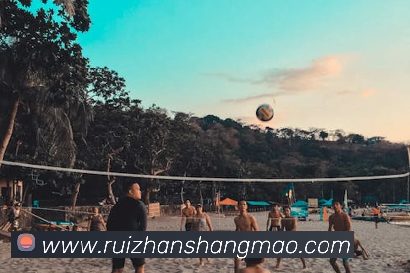 App Interface Preview