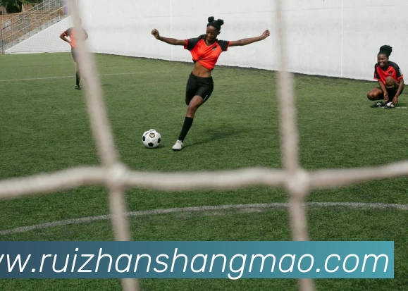 华体网页版APP 封面图